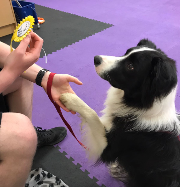 Charlie asking for his graduation rosette