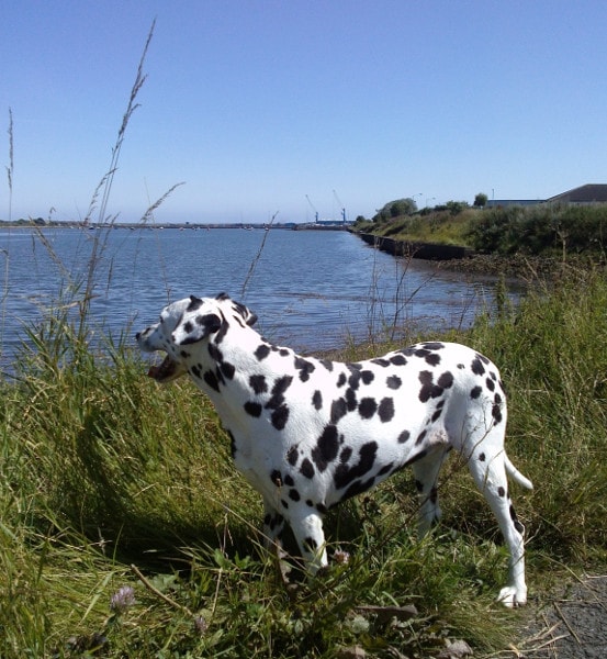 Walking near the River Blyth