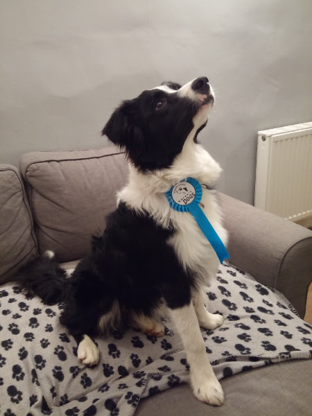 Charlie with his graduation rosette